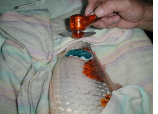 Drying treatments using a small fan

