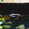 Oase AquaSkim Gravity - Image 5